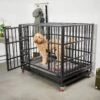 Frisco Ultimate Foldable & Stackable Heavy Duty Steel Metal Single Door Dog Crate 1 Frisco Ultimate Foldable & Stackable Heavy Duty Steel Metal Single Door Dog Crate -Frisco Shop 280395 MAIN. AC SS1800 V1632851201