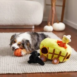 Frisco Fall Hay Wagon Hide & Seek Puzzle Plush Squeaky Dog Toy -Frisco Shop 285631 PT3. AC SS1800 V1629724940