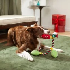 Frisco Holiday Lights Plush With Rope Squeaky Dog Toy 9 Frisco Holiday Lights Plush With Rope Squeaky Dog Toy -Frisco Shop 287109 PT3. AC SS1800 V1632775707