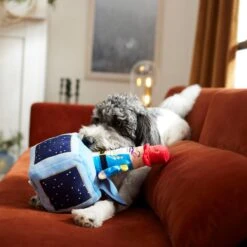 Frisco Nutcracker-in-a-Box Plush Squeaky Dog Toy -Frisco Shop 287173 PT3. AC SS1800 V1632773316