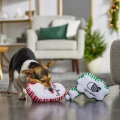 Frisco Holiday Thought Bubble Plush Squeaky Dog Toy, 2 Count 7 Frisco Holiday Thought Bubble Plush Squeaky Dog Toy, 2 Count -Frisco Shop 287195 PT3. AC SS1800 V1632772983