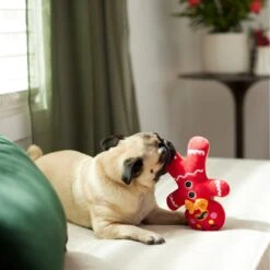 Frisco Holiday Naughty Or Nice Gingerbread Man Reversible Plush Squeaky Dog Toy 11 Frisco Holiday Naughty Or Nice Gingerbread Man Reversible Plush Squeaky Dog Toy -Frisco Shop 287217 PT3. AC SS1800 V1632775304