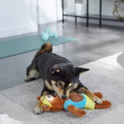 Frisco Fitness Bear Reversible Plush Squeaky Dog Toy 9 Frisco Fitness Bear Reversible Plush Squeaky Dog Toy -Frisco Shop 288897 PT3. AC SS1800 V1638291713