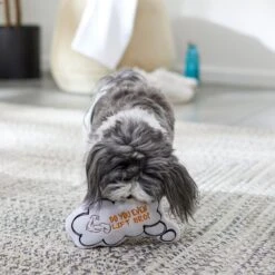 Frisco Message Bubble Plush Squeaky Dog Toy 9 Frisco Message Bubble Plush Squeaky Dog Toy -Frisco Shop 288941 PT3. AC SS1800 V1638289328