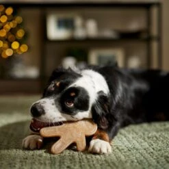 Frisco Nylon Gingerbread Dog Chew Toy, Beef Flavor, Medium 9 Frisco Nylon Gingerbread Dog Chew Toy, Beef Flavor, Medium -Frisco Shop 291385 PT3. AC SS1800 V1668108316