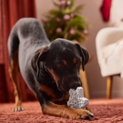 Frisco Holiday Nylon Snowflake Dog Chew Toy, Peanut Butter Flavor, Medium 9 Frisco Holiday Nylon Snowflake Dog Chew Toy, Peanut Butter Flavor, Medium -Frisco Shop 291387 PT3. AC SS1800 V1629306692