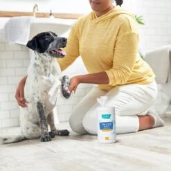Frisco Deodorizing Paw & Bum Waterless Grooming Wipes For Dogs & Cats 12 Frisco Deodorizing Paw & Bum Waterless Grooming Wipes For Dogs & Cats -Frisco Shop 291593 PT4. AC SS1800 V1627654025