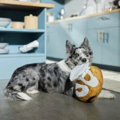 Frisco Brunch Cinnamon Roll Jumbo Plush Squeaky Dog Toy -Frisco Shop 297260 PT2. AC SS1800 V1642089012