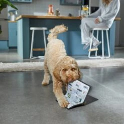 Frisco Brunch Menu Ballistic Nylon Flat Plush Squeaky Dog Toy -Frisco Shop 297276 PT2. AC SS1800 V1642088788