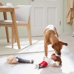 Frisco Brunch Chef & Waitress Plush Squeaky Dog Toy, 2 Count 7 Frisco Brunch Chef & Waitress Plush Squeaky Dog Toy, 2 Count -Frisco Shop 297278 PT2. AC SS1800 V1642088629