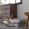 Frisco Boho Modern Couch Dog & Cat Bed 2 Frisco Boho Modern Couch Dog & Cat Bed -Frisco Shop 299392 MAIN. AC SS1800 V1638288742