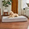Frisco Ortho Lounger Dog & Cat Bed 2 Frisco Ortho Lounger Dog & Cat Bed -Frisco Shop 299465 MAIN. AC SS1800 V1638288352