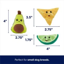 Frisco Guacamole Hide & Seek Puzzle Plush Squeaky Dog Toy & Frisco Guacamole Hide & Seek Puzzle Plush Squeaky Dog Toy Refills 12 Frisco Guacamole Hide & Seek Puzzle Plush Squeaky Dog Toy & Frisco Guacamole Hide & Seek Puzzle Plush Squeaky Dog Toy Refills -Frisco Shop 302478 PT3. AC SS1800 V1693327405