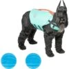 Frisco Active Dog Life Jacket & Frisco Foam Rubber Floating Fetch Ball No Squeak Dog Toy 1 Frisco Active Dog Life Jacket & Frisco Foam Rubber Floating Fetch Ball No Squeak Dog Toy -Frisco Shop 303364 MAIN. AC SS1800 V1623163652