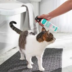Frisco Aloe Hydrating Dog & Cat Spray, Sweet Nectar Scent & Frisco Oatmeal Dog & Cat Shampoo, Almond Scent 15 Frisco Aloe Hydrating Dog & Cat Spray, Sweet Nectar Scent & Frisco Oatmeal Dog & Cat Shampoo, Almond Scent -Frisco Shop 303372 PT4. AC SS1800 V1623076060
