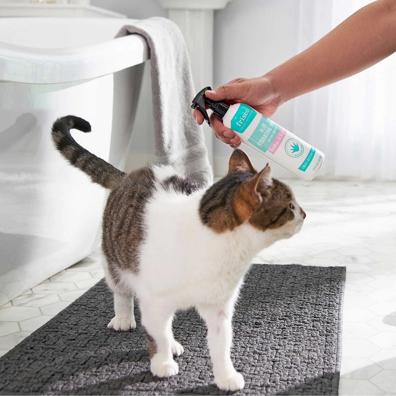 Frisco Aloe Hydrating Dog & Cat Spray, Sweet Nectar Scent & Frisco Oatmeal Dog & Cat Shampoo, Almond Scent 7 Frisco Aloe Hydrating Dog & Cat Spray, Sweet Nectar Scent & Frisco Oatmeal Dog & Cat Shampoo, Almond Scent - Image 5