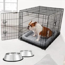 Frisco Fold & Carry Double Door Collapsible Wire Dog Crate & Mat Kit & Frisco Stainless Steel Bowl