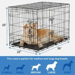 Frisco Fold & Carry Double Door Collapsible Wire Dog Crate & Mat Kit & Frisco Stainless Steel Bowl 12 Frisco Fold & Carry Double Door Collapsible Wire Dog Crate & Mat Kit & Frisco Stainless Steel Bowl -Frisco Shop 303428 PT2. AC SS1800 V1623055045