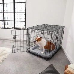 Frisco Fold & Carry Double Door Collapsible Wire Dog Crate & Mat Kit & Frisco Stainless Steel Bowl 14 Frisco Fold & Carry Double Door Collapsible Wire Dog Crate & Mat Kit & Frisco Stainless Steel Bowl -Frisco Shop 303428 PT4. AC SS1800 V1623089543