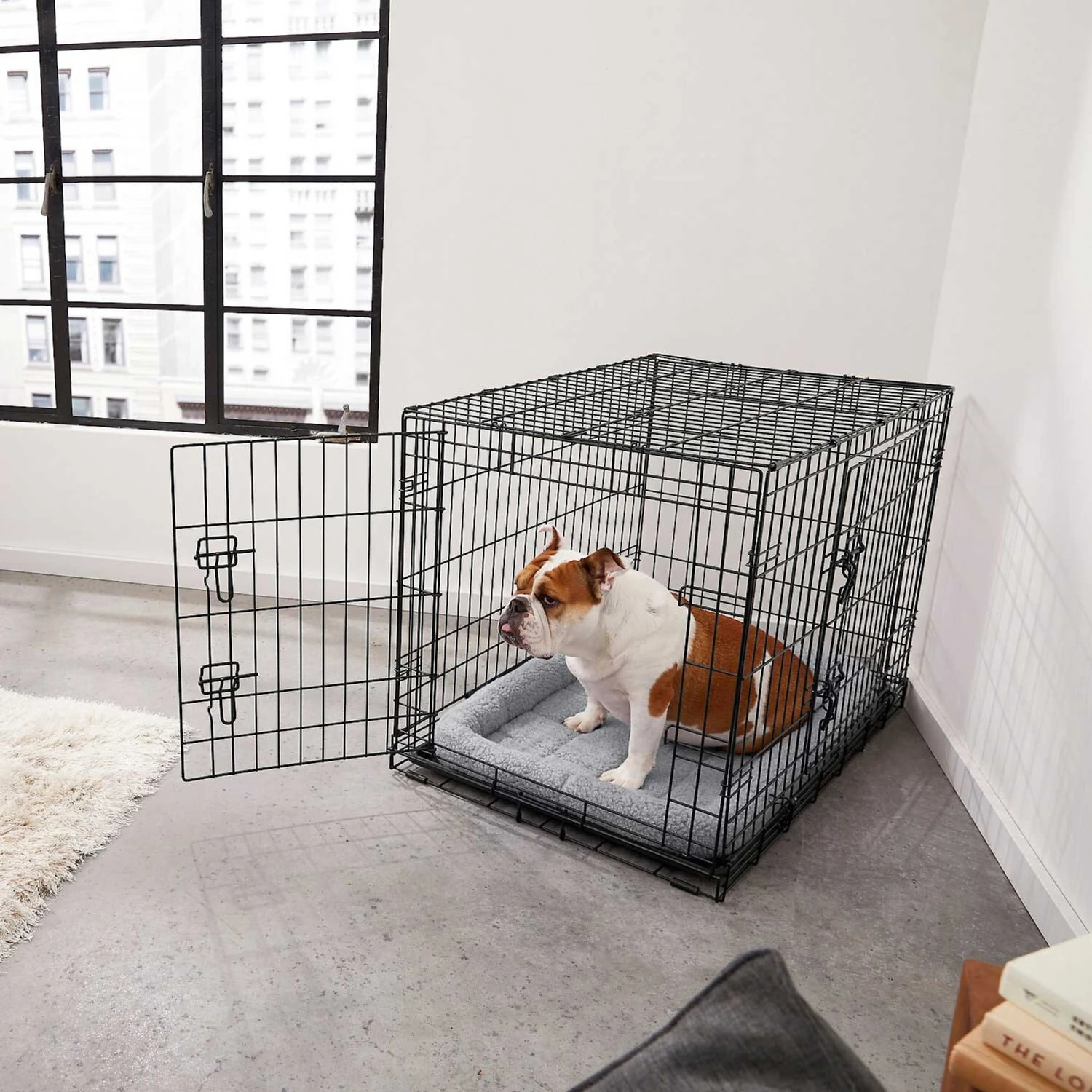 Frisco Fold & Carry Double Door Collapsible Wire Dog Crate & Mat Kit & Frisco Stainless Steel Bowl 7 Frisco Fold & Carry Double Door Collapsible Wire Dog Crate & Mat Kit & Frisco Stainless Steel Bowl - Image 5