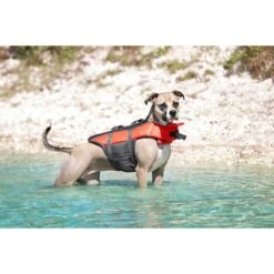 Frisco Ripstop Dog Life Jacket & Frisco Foam Rubber Floating Fetch Ball No Squeak Dog Toy 14 Frisco Ripstop Dog Life Jacket & Frisco Foam Rubber Floating Fetch Ball No Squeak Dog Toy -Frisco Shop 303546 PT4. AC SS1800 V1623046643