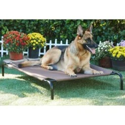 Frisco Replacement Cover For Steel-Framed Elevated Dog Bed & Frisco Steel-Framed Elevated Dog Bed 13 Frisco Replacement Cover For Steel-Framed Elevated Dog Bed & Frisco Steel-Framed Elevated Dog Bed -Frisco Shop 303624 PT5. AC SS1800 V1623084445