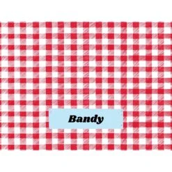 Frisco Personalized Gingham Plaid Soft Fleece Cat & Dog Blanket, 30" X 40" 12 Frisco Personalized Gingham Plaid Soft Fleece Cat & Dog Blanket, 30" X 40" -Frisco Shop 304001 PT4. AC SS1800 V1637609279