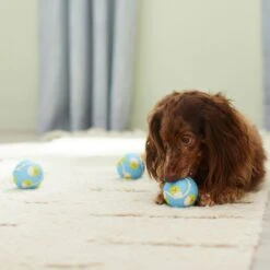 Frisco Easter Fetch Squeaky Tennis Ball Dog Toy, Medium, 3 Count -Frisco Shop 304964 PT4. AC SS1800 V1703184745