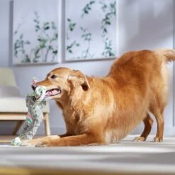 Frisco Easter Bunny Plush With Rope Squeaky Dog Toy 10 Frisco Easter Bunny Plush With Rope Squeaky Dog Toy -Frisco Shop 304974 PT4. AC SS1800 V1702500566