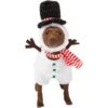Frisco Front Walking Snowman Dog & Cat Costume 1 Frisco Front Walking Snowman Dog & Cat Costume -Frisco Shop 306569 MAIN. AC SS1800 V1631662394