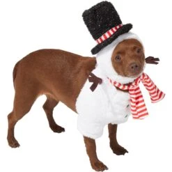 Frisco Front Walking Snowman Dog & Cat Costume 8 Frisco Front Walking Snowman Dog & Cat Costume -Frisco Shop 306569 PT3. AC SS1800 V1631660597