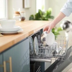 Frisco Animal Design Stainless Steel Dog & Cat Bowl 17 Frisco Animal Design Stainless Steel Dog & Cat Bowl -Frisco Shop 311960 PT7. AC SS1800 V1642543141