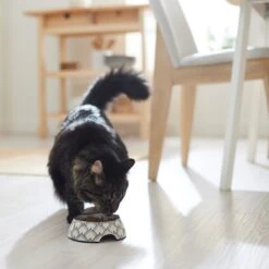 Frisco Moroccan Design Stainless Steel Dog & Cat Bowl 13 Frisco Moroccan Design Stainless Steel Dog & Cat Bowl -Frisco Shop 311963 PT3. AC SS1800 V1642542386