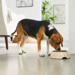 Frisco Circle Design Stainless Steel Dog & Cat Bowl 11 Frisco Circle Design Stainless Steel Dog & Cat Bowl -Frisco Shop 311969 PT2. AC SS1800 V1642542858