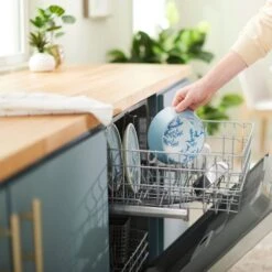 Frisco Coral Design Stainless Steel Dog & Cat Bowl 17 Frisco Coral Design Stainless Steel Dog & Cat Bowl -Frisco Shop 311972 PT7. AC SS1800 V1642543254