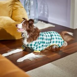 Frisco Boho Gingham Dog & Cat PJs 13 Frisco Boho Gingham Dog & Cat PJs -Frisco Shop 312272 PT8. AC SS1800 V1644880063