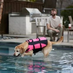 Frisco Ripstop Dog Life Jacket, Pink 19 Frisco Ripstop Dog Life Jacket, Pink -Frisco Shop 312380 PT8. AC SS1800 V1649275938