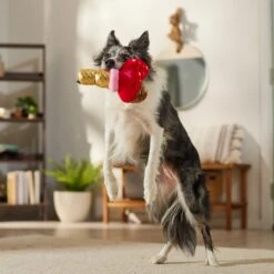 Frisco Valentine Ice Cream Plush Squeaky Dog Toy 8 Frisco Valentine Ice Cream Plush Squeaky Dog Toy -Frisco Shop 312895 PT3. AC SS1800 V1701364917