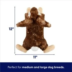 Frisco Realistic Rabbit Plush Squeaky Dog Toy 9 Frisco Realistic Rabbit Plush Squeaky Dog Toy -Frisco Shop 316939 PT1. AC SS1800 V1695760927