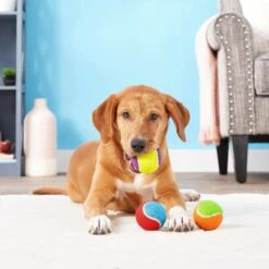 Frisco Fetch Squeaking Colorful Tennis Ball Dog Toy & Playology Scented Dual Layer Bone Dog Toy 14 Frisco Fetch Squeaking Colorful Tennis Ball Dog Toy & Playology Scented Dual Layer Bone Dog Toy -Frisco Shop 319022 PT3. AC SS1800 V1630552585