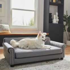 Frisco Sofa Pet Bed With Removable Cover & Frisco Eyelash Cat & Dog Blanket 15 Frisco Sofa Pet Bed With Removable Cover & Frisco Eyelash Cat & Dog Blanket -Frisco Shop 319504 PT4. AC SS1800 V1630625195