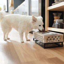Frisco Premium Wood Elevated Stainless Steel Double Diner Dog & Cat Bowl, 3 Cup 9 Frisco Premium Wood Elevated Stainless Steel Double Diner Dog & Cat Bowl, 3 Cup -Frisco Shop 331507 PT2. AC SS1800 V1657656894