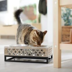 Frisco Premium Wood Elevated Stainless Steel Double Diner Dog & Cat Bowl, 3 Cup 10 Frisco Premium Wood Elevated Stainless Steel Double Diner Dog & Cat Bowl, 3 Cup -Frisco Shop 331507 PT3. AC SS1800 V1657656894