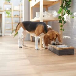 Frisco Premium Stainless Steel Double Diner Dog & Cat Bowl, Black 11 Frisco Premium Stainless Steel Double Diner Dog & Cat Bowl, Black -Frisco Shop 331532 PT2. AC SS1800 V1657656874