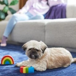 Frisco Pride Rainbow & Heart Latex Squeaky Dog Toy, 2 Count 7 Frisco Pride Rainbow & Heart Latex Squeaky Dog Toy, 2 Count -Frisco Shop 331632 PT3. AC SS1800 V1647355825