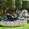 Frisco Outdoor Dog Swimming Pool, Hawaiian Print 1 Frisco Outdoor Dog Swimming Pool, Hawaiian Print -Frisco Shop 331652 MAIN. AC SS1800 V1646179333