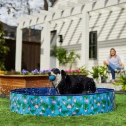 Frisco Outdoor Dog Swimming Pool, Flamingo