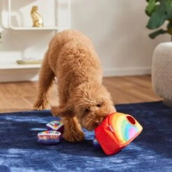 Frisco Pride Rainbow Hide & Seek Puzzle Plush Squeaky Dog Toy -Frisco Shop 331673 PT3. AC SS1800 V1647356070