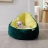 Frisco Avocado Cat & Dog Bed -Frisco Shop 333856 MAIN. AC SS1800 V1658717997