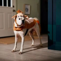 Frisco Deer Dog & Cat Costume 14 Frisco Deer Dog & Cat Costume -Frisco Shop 334874 PT7. AC SS1800 V1657720507